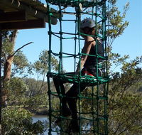 Trees Adventure Shoalhaven - Mackay Tourism