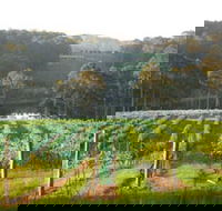 Tilba Valley Wines - Mackay Tourism