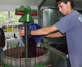 Fern Gully Winery - Mackay Tourism 0