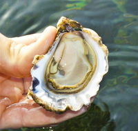 The Oyster Pot - Mackay Tourism