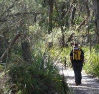 Barren Grounds Nature Reserve - Mackay Tourism