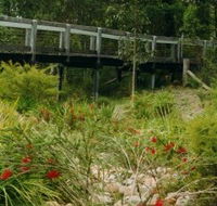 Eurobodalla Botanic Gardens - Mackay Tourism