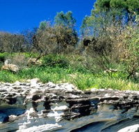 Abrahams Bosom Reserve - Mackay Tourism