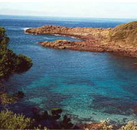 Bass Point Reserve - Mackay Tourism
