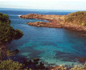 Bass Point Reserve - Mackay Tourism 0
