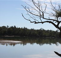 North Coast Holiday Parks Boambee Creek Reserve - Mackay Tourism