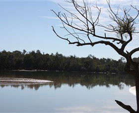 North Coast Holiday Parks Boambee Creek Reserve - Mackay Tourism 0