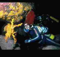 Solitary Islands Marine Park - Mackay Tourism