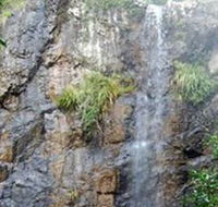 Wedding Bells Forest Drive - Mackay Tourism