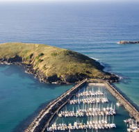 Muttonbird Island Nature Reserve - Mackay Tourism