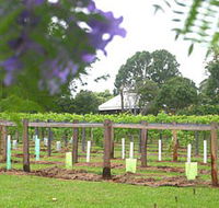 Douglas Vale Historic Homestead  Vineyard - Mackay Tourism