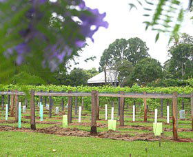 Douglas Vale Historic Homestead & Vineyard - Mackay Tourism 0