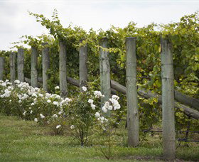 Lambert Vineyards Cellar Door - Mackay Tourism 2