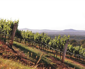 Briar Ridge Vineyard - Mackay Tourism 1