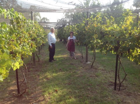 Holland Wines - Mackay Tourism 8