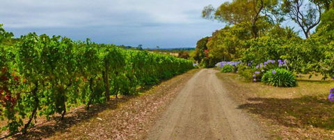 Merricks Estate - Mackay Tourism 1