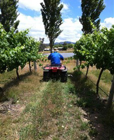 Heifer Station - Mackay Tourism 2