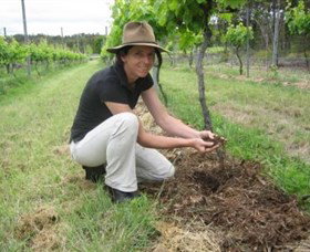 Twisted Gum Wines - Mackay Tourism 2