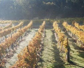 Twisted Gum Wines - Mackay Tourism 1