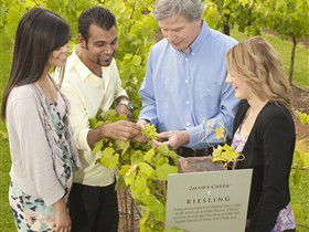 Jacob's Creek Vineyard Tour - Mackay Tourism 0