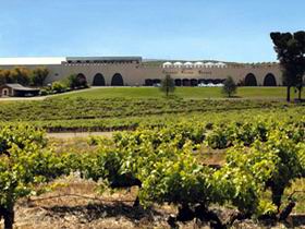 Taylors Wines - Mackay Tourism 0