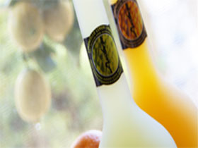 Ambra Limoncello - Mackay Tourism 0