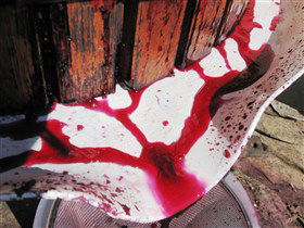 Cradle Of Hills McLaren Vale Winery - Mackay Tourism 0