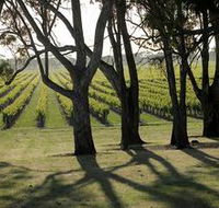 Henry's Drive Vignerons