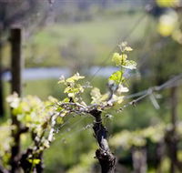 Mount Cole WineWorks - Mackay Tourism