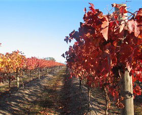 Kooyonga Creek Wines - Mackay Tourism 0