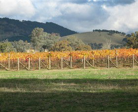 Kooyonga Creek Wines - Mackay Tourism 4