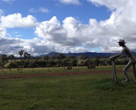 Kooyonga Creek Wines - Mackay Tourism 3
