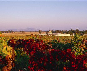 Morris Wines - Mackay Tourism 0