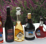 Hartzview Vineyard Heritage Pickers Hut Village - Mackay Tourism