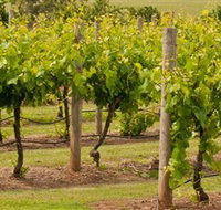 Mt Coghill Vineyard - Mackay Tourism