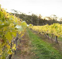 Harcourt Valley Vineyards - Mackay Tourism