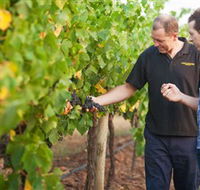 Fratin Brothers Vineyard - Mackay Tourism