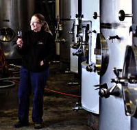 Holm Oak Vineyard - Mackay Tourism