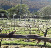 Three Willows Vineyard - Mackay Tourism