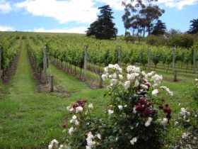 Merbein South ACT Mackay Tourism