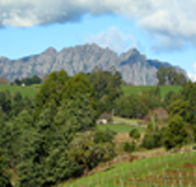 Lake Barrington Vineyard - Mackay Tourism