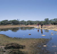 Camel Soak - Mackay Tourism