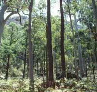 Cathedral Range State Park - Mackay Tourism