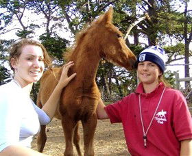 Bellarine Horse Riding Centre - Mackay Tourism 1