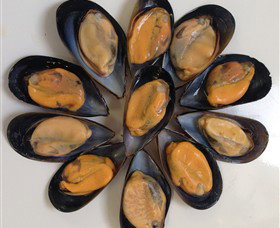 Advance Mussel Supply - Mackay Tourism 3