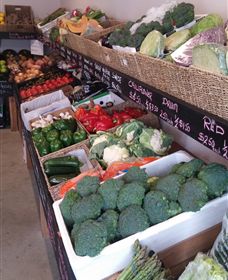 Farmers Harvest - Mackay Tourism 1