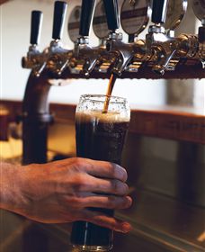 Napoleone Brewery And Ciderhouse - Mackay Tourism 3