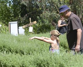 Hedgend Maze And Healesville Laser Sport - Mackay Tourism 2