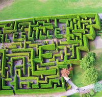 Hedgend Maze and Healesville Laser Sport - Mackay Tourism