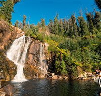 Steavenson Falls Marysville - Mackay Tourism